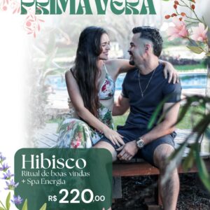 Hibisco-Boas Energias