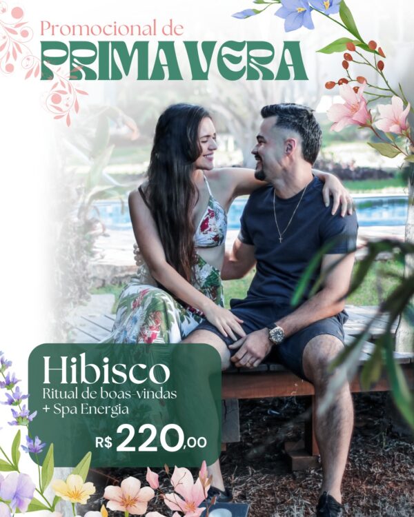 Hibisco-Boas Energias