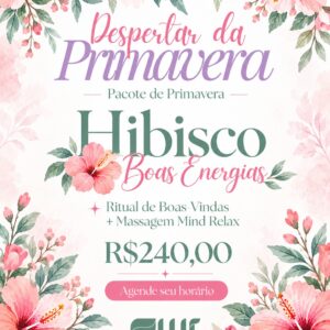 Hibisco-Boas Energias